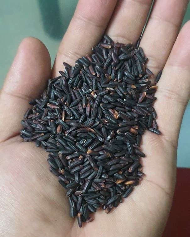 Black Kavuni
